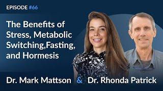 Dr. Mark Mattson on the Benefits of Stress, Metabolic Switching, Fasting, and Hormesis