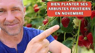 Plantation d'arbustes fruitiers au potager [petit tuto du potager]