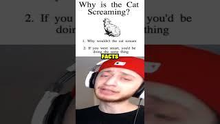 Why Is The Cat Screaming? #shorts #short #memes #meme