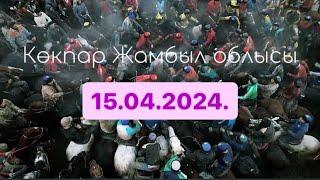 Жамбыл облысы Асқат мырзаның елден бата алу той көкпары 15.04.2024.