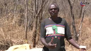 Mass Graves at Chibondo (Part 1) | Madii Mambofamba
