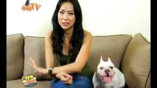 dogTV's dogSTAR s1 ep12: Shawn Yao