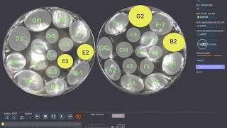 Steel Pan Tutor  Free Chord Progressions