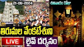 LIVE: శనివారం తిరుమల వెంకటేశుని లైవ్ దర్శనం | Tirumala Tirupati  Venkateswara Live Darshan #balaji