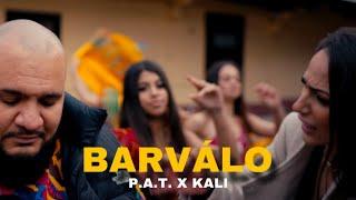 P.A.T. x Kali - Barválo |Official Video|