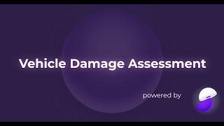 Vehicle Damage Assessment