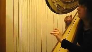 Concert Fantasy on Lara's Granada  Carlos Salzedo  Harp