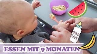 Was die Zwillinge mit 9 Monaten am Tag essen!