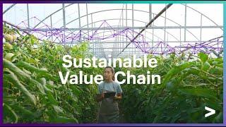 Improve supply chain sustainability with scope 3 emissions visibility