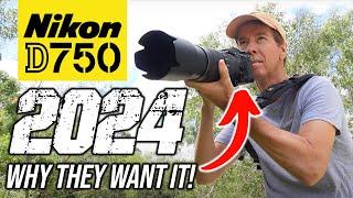 Nikon D750 WHY People Are Still BUYING in 2024!?