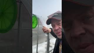 Приступил к реконструкции теплицы #diy