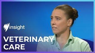Veterinary Care | Full Episode | SBS Insight