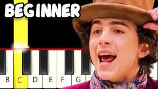 A World of your Own - from Wonka - Slow and Easy Piano Tutorial - Beginner