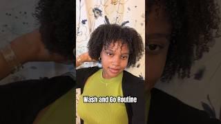 Do a Wash and Go with me#WashAndGoTutorial #naturalhair #curlyhairroutine #washandgo