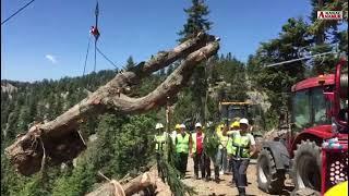 Anamur Orman İşletme Personeline Havadan Taşıma Eğitimi