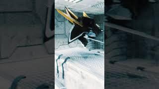 Alan Walker_Sophie Simmons Lovesick #shorts #alanwalkershorts