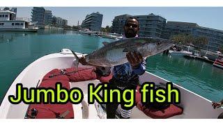 Abu dhabi boat fishing vlog jumbo king fish and baracoda 