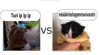 turi ip ip ip vs nekalakininahappenenawiwanatin (Epic Rap Battle)