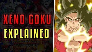 Xeno Goku Explained