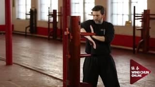 What is Wing Chun?