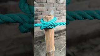 amazing knots