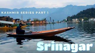 Exploring the Majestic Beauty of Srinagar | Kashmir Travel Guide