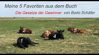 Meine 5 Favoriten aus dem Buch "Gesetze der Gewinner" von Bodo Schäfer