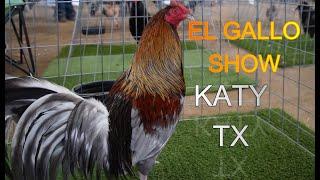 EL GALLO SHOW