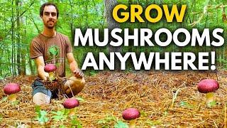 The Easiest Mushroom to Grow | Wine Cap Mushroom Guide