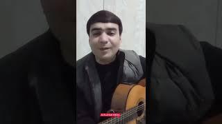 Balkan Nurgeldiýew Laligim (cover vocalise)  #turkmenistan #dalidade#rek