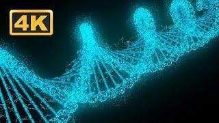 DNA Biology Medical Screensaver! 4K Animation. Genetics Visualisation! Relaxing Science Music!