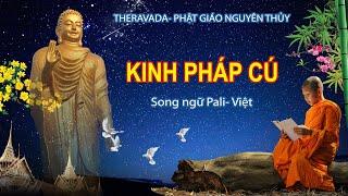 KINH PHÁP CÚ-(pali-việt  423 câu) dhammapada song ngữ