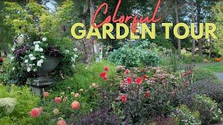 A colorful tour of the patio garden