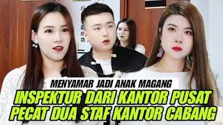 Menyamar Jadi Anak Magang Baru Inspektur Dari Kantor Pusat Memecat Dia Staf Kantor Cabang