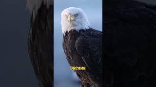 5 неожиданных фактов о нашем мире