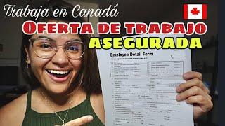 6 maneras EFECTIVAS de conseguir una OFERTA LABORAL en Canadá  Oferta de trabajo asegurada