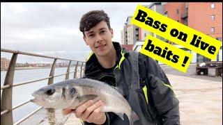 SWANSEA PIER FISHING | BASS AND MACKEREL