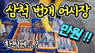 삼척 번개 어시장 한마리 500원? 마진 포기! 자연산 막퍼줘? 제발 만원만! 가성비 진짜 미쳤어요! korean fish market channel