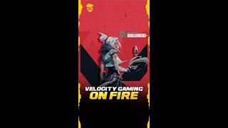 VELOCITY GAMING ON FIRE |  VCT 2022 - APAC Challengers | FANCLASH