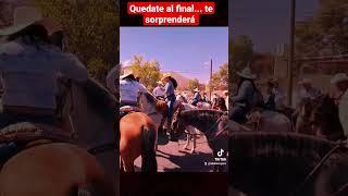 Diferencia de caballo bailador o bailar en el #humor #charreria #jalisco #abelelviajero #horse #nada