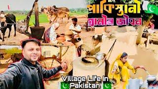 পাকিস্তানের  গ্রামীন জীবন ॥ Beautiful Village Life In Pakistan ॥ Punjabi Real Village Life Vlog