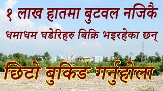 जम्मा १ लाख हातमा बुटवल नजिकै घडेरि बिक्रिमा | land sale only 1 lakh per haat || cheapest land