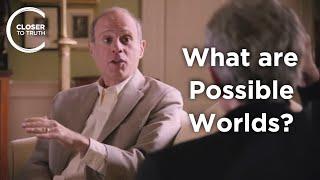 Brian Leftow - What are Possible Worlds?