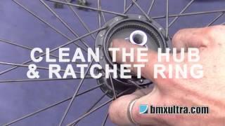 Service Profile Racing Elite Rear Hub (How To)