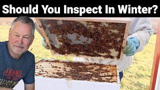 Beekeeping | How To Inspect Your Hive In The Winter