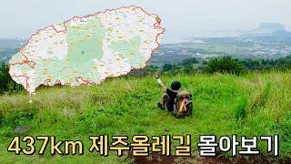 [올레길 몰아보기]437km, 한여름의 제주올레길