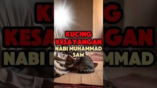 Kucing Kesayangan Nabi Muhammad SAW #shorts