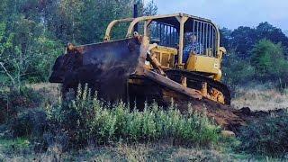 CAT D6C DOZER