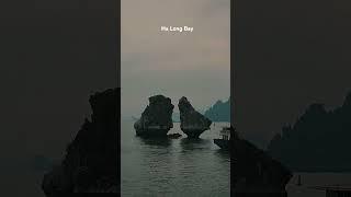 Du lịch Hạ Long #vietnamese #today  #vinvivu