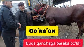 Qo'rg'on mol bozori